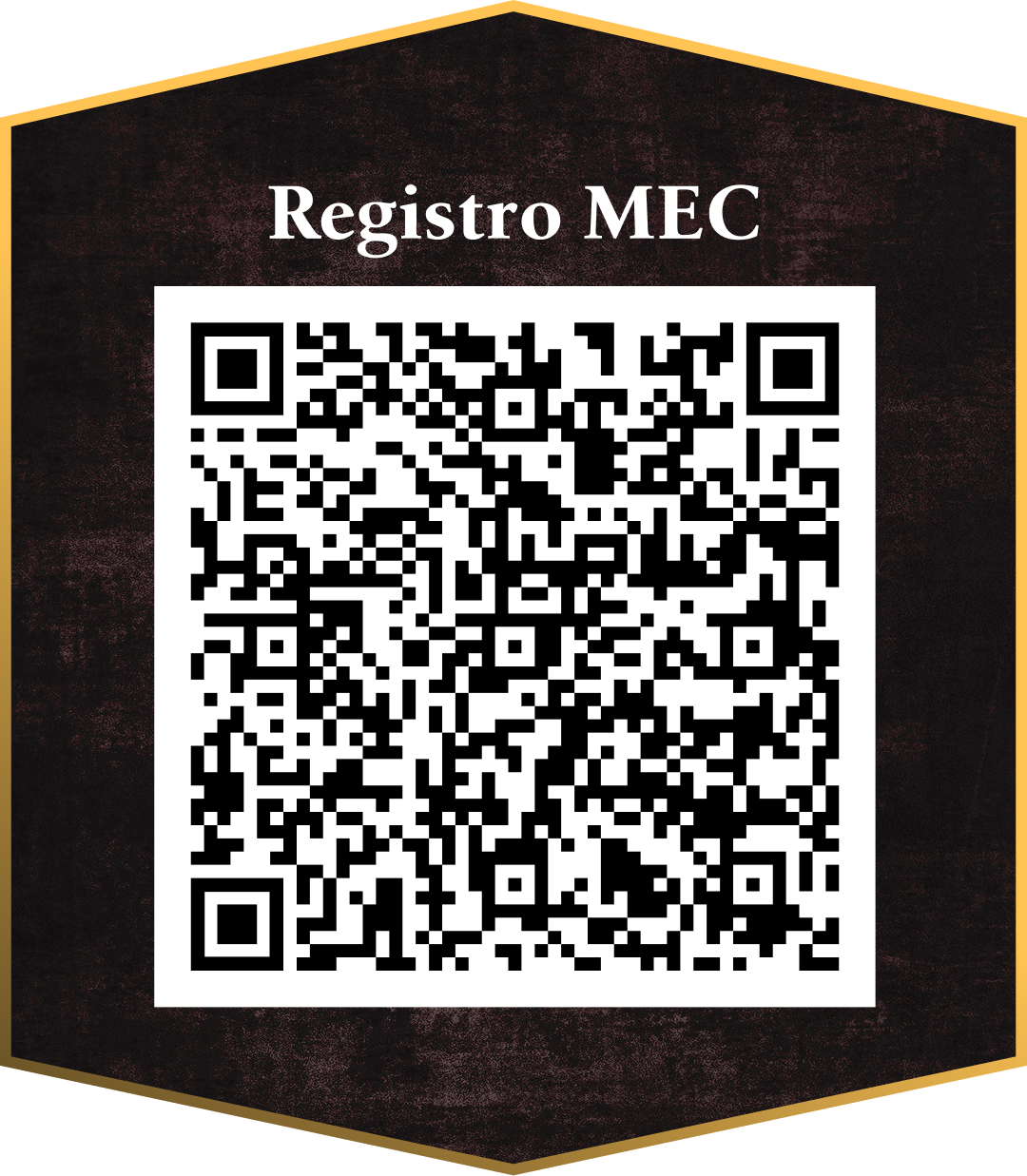 Registro MEC